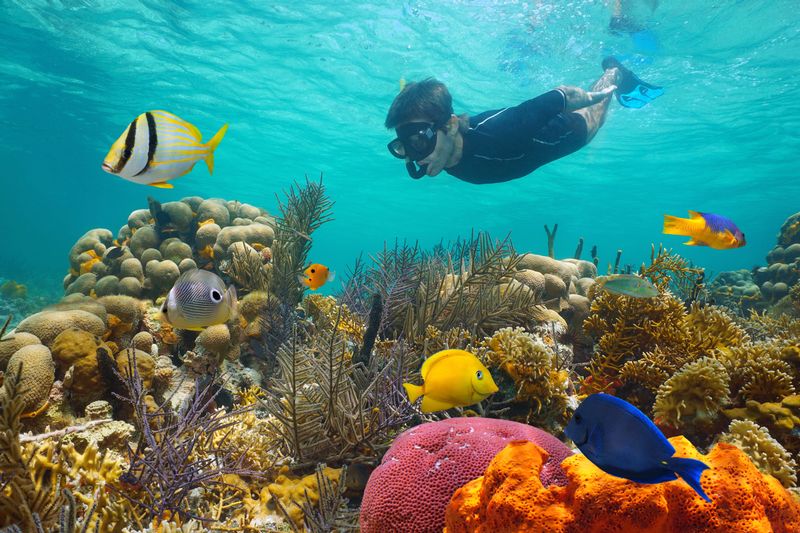 Where To Snorkel In Key West
