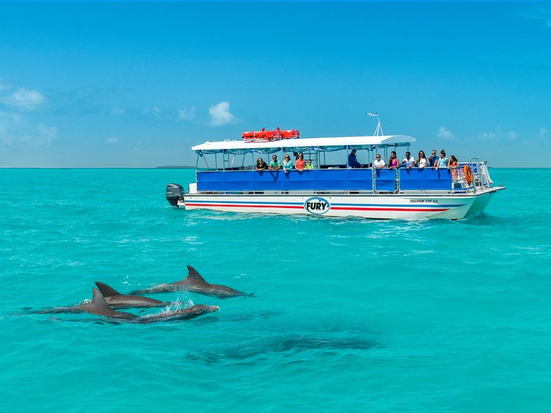 dolphin tours key west fl