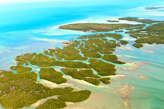 Florida Keys Aerial View
